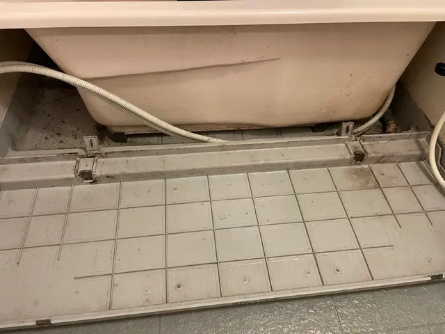 明るい夫婦でお伺いします♪大手清掃会社で経験あり◎サービスの画像