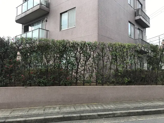 [親切] [丁寧]を心がけサービスいたしますサービスの画像