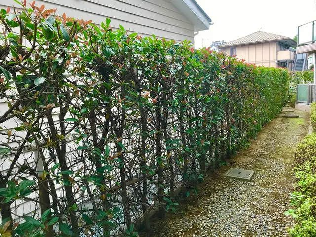 [親切] [丁寧]を心がけサービスいたしますサービスの画像