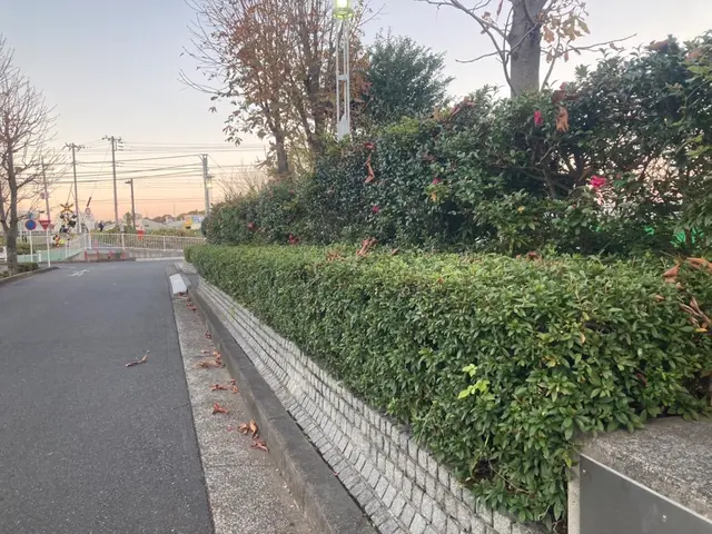 [親切] [丁寧]を心がけサービスいたしますサービスの画像