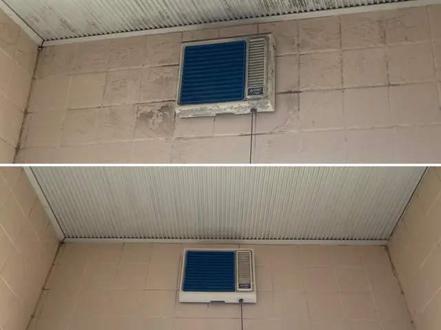 日本初！環境に優しいハウスクリーニング！もちろん身体にも！きれいごとできれいに。サービスの画像