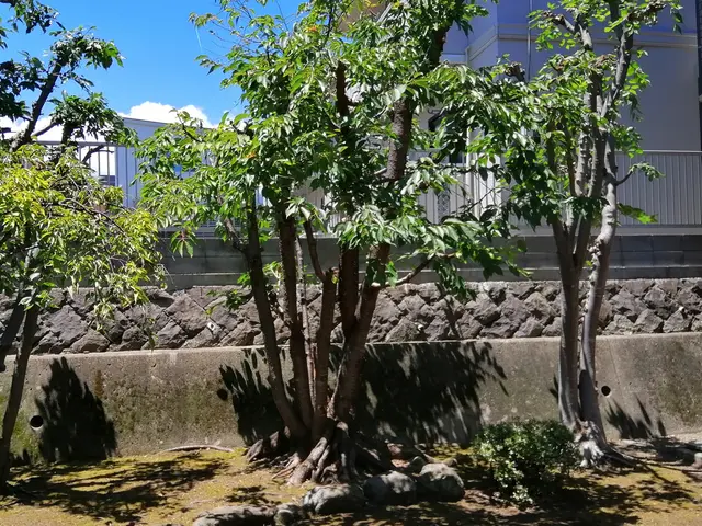 【8月出店】地元密着で実績1000件！大手経験を活かした丁寧な作業サービスの画像