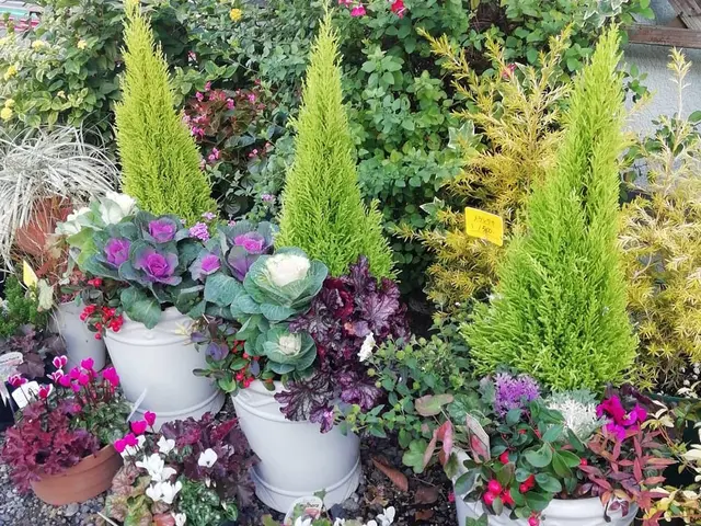 【地域密着！熊本市内◎】作業完了まで！当社が責任を持ってご対応！サービスの画像