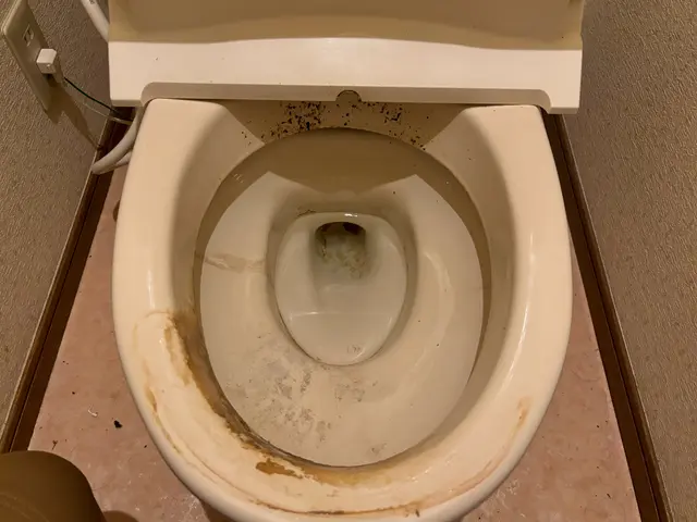 【くらマ特別価格１０,０００円→９,０００円】／クレカ、PayPay決済OK♪サービスの画像