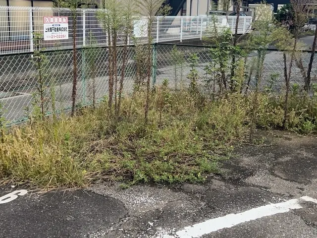 草刈りから草の処分までお任せください！空き地や、お庭どこでも対応いたします。サービスの画像