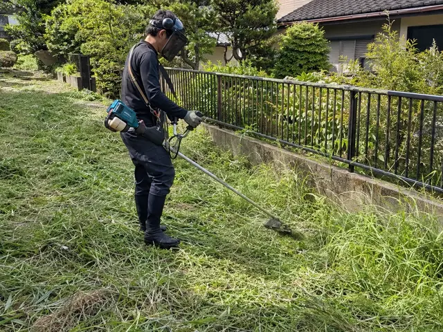 伸び放題の雑草も一掃！草刈り・除草まとめて対応サービスサービスの画像