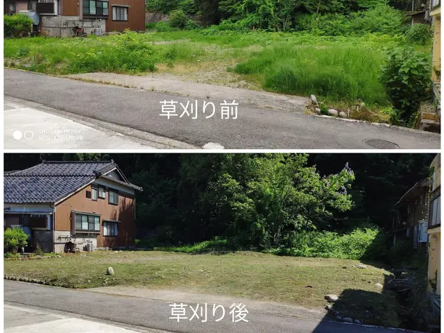 伸び放題の雑草も一掃！草刈り・除草まとめて対応サービスサービスの画像