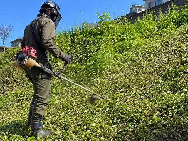 伸び放題の雑草も一掃！草刈り・除草まとめて対応サービスサービスの画像