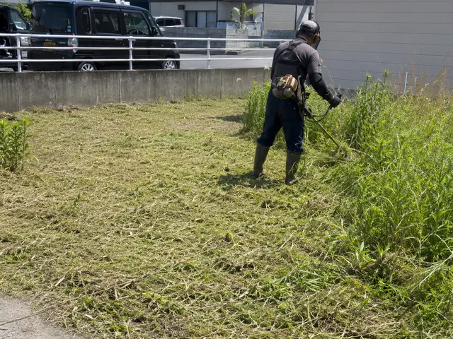 伸び放題の雑草も一掃！草刈り・除草まとめて対応サービスサービスの画像