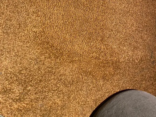 カーペットの汚れ、諦めないでください！ 実績18年以上のプロが徹底洗浄！サービスの画像