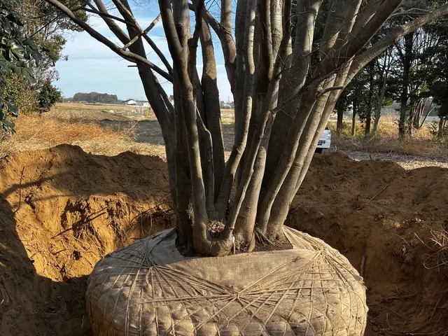 【業歴13年の実績】年中無休◎造園施工管理技士◎アフターフォローも万全サービスの画像