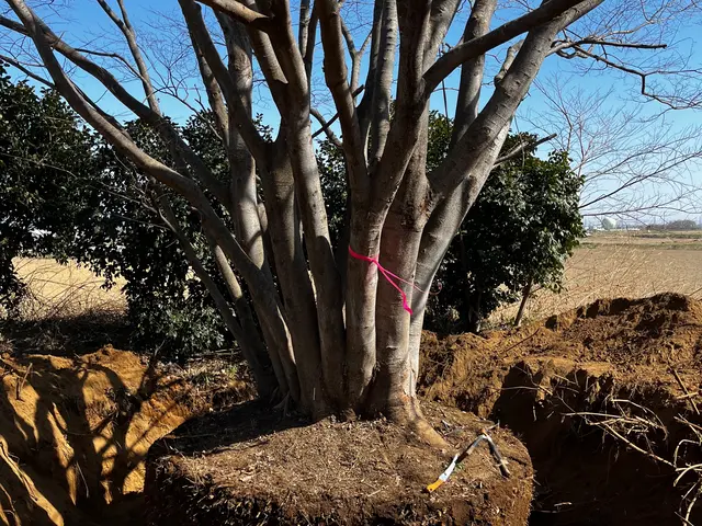 【業歴13年の実績】年中無休◎造園施工管理技士◎アフターフォローも万全サービスの画像