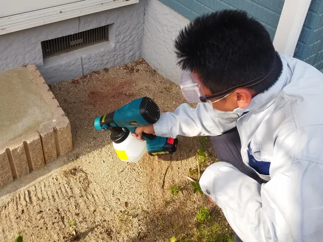 害虫駆除　１８年の経験で迅速丁寧に駆除致します。サービスの画像