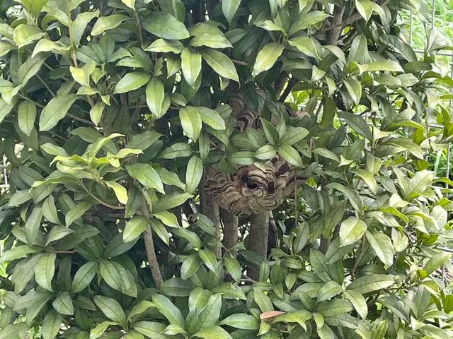 【再発年内無料補償】即レス即日対応可能！まずはご相談ください！【追加料金なし！】サービスの画像