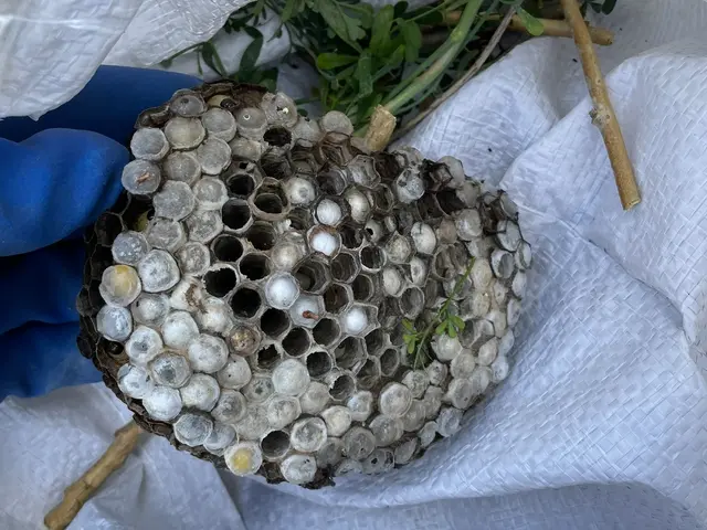 【再発年内無料補償】即レス即日対応可能！まずはご相談ください！【追加料金なし！】サービスの画像