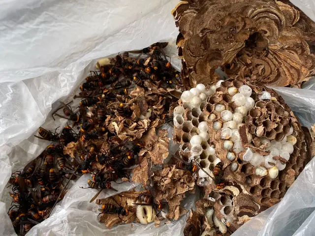 【再発年内無料補償】即レス即日対応可能！まずはご相談ください！【追加料金なし！】サービスの画像