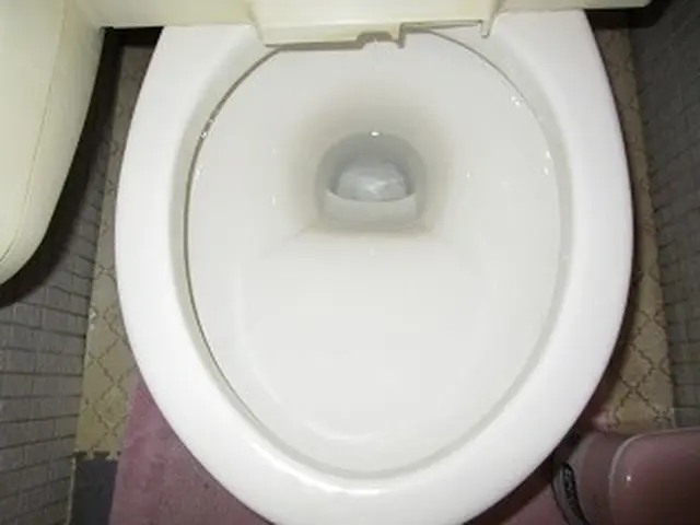 【丁寧な対応◎】便器の汚れもしっかり落とします。サービスの画像