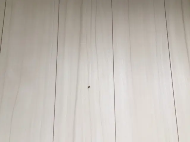 他業種の経験を活かした対応！専門研修済みの確かな技術でお住まいを美しく蘇らせますサービスの画像