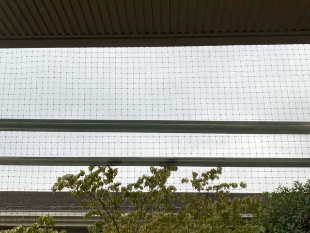 【新年度に綺麗にしよう！キャンペーン】代表が必ずお伺い！安心の2児の父♪サービスの画像