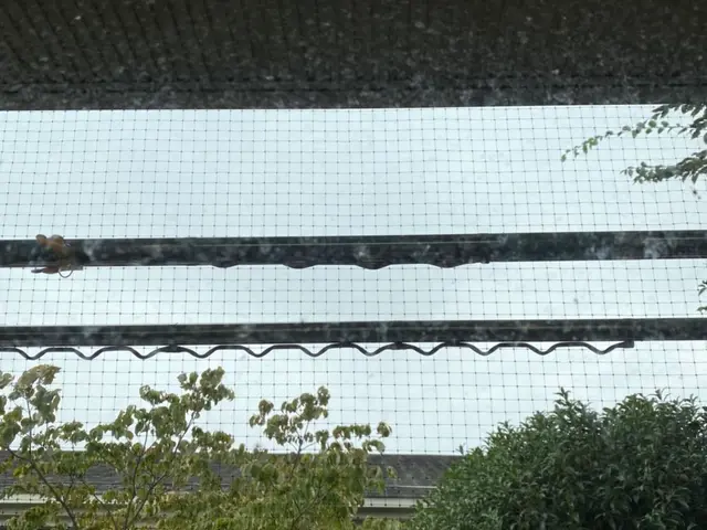 【新年度に綺麗にしよう！キャンペーン】代表が必ずお伺い！安心の2児の父♪サービスの画像