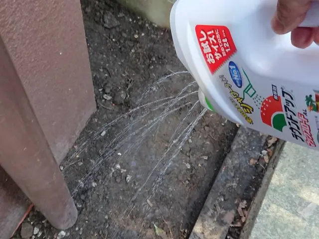 防草シートお任せください！サービスの画像