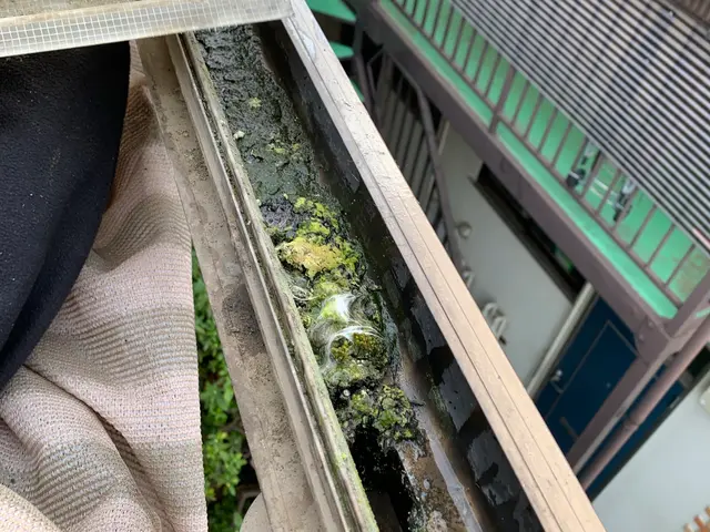 危ない場所なんで私に任せて下さいサービスの画像