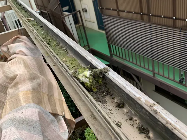 危ない場所なんで私に任せて下さいサービスの画像