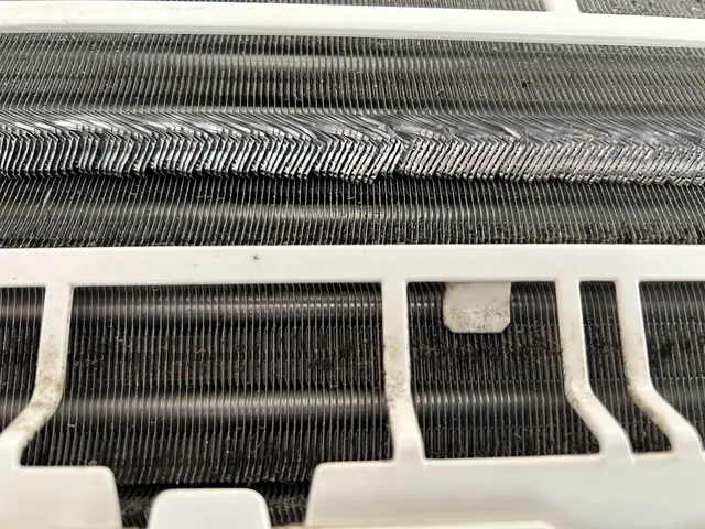 損害保険加入！頑固な汚れやカビの匂いも徹底除去！サービスの画像