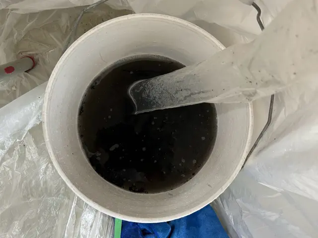 損害保険加入！頑固な汚れやカビの匂いも徹底除去！サービスの画像