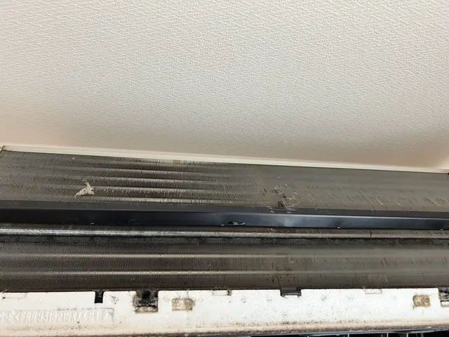 損害保険加入！頑固な汚れやカビの匂いも徹底除去！サービスの画像