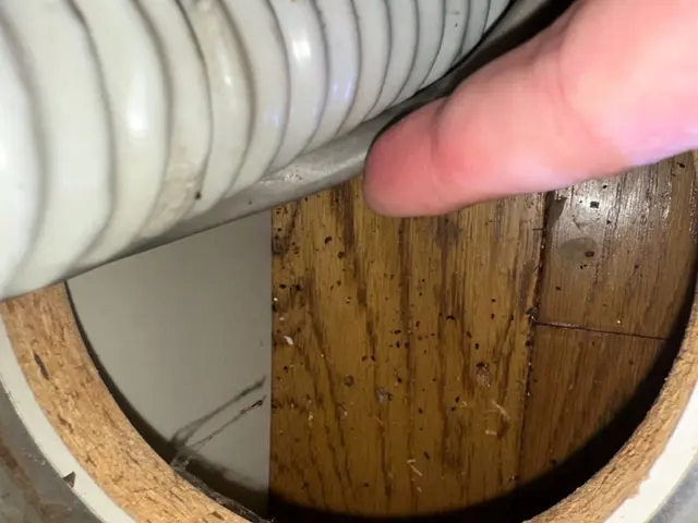 24h/有資格者によるゴキブリ駆除対策！店舗の衛生を取り戻します！即日可能です！サービスの画像