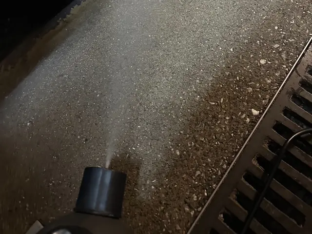 24h/有資格者によるゴキブリ駆除対策！店舗の衛生を取り戻します！即日可能です！サービスの画像