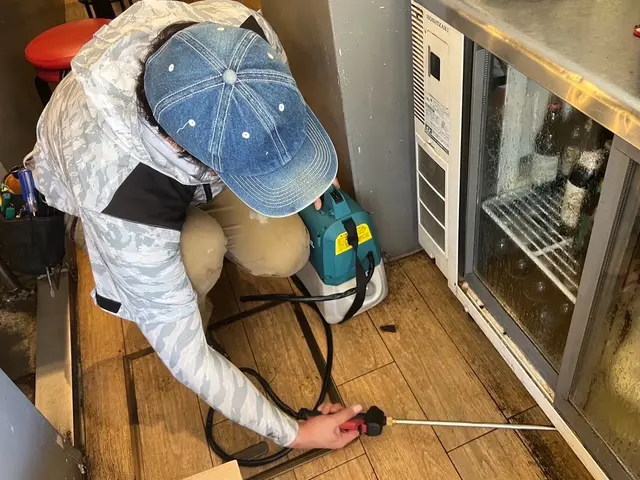 24h/有資格者によるゴキブリ駆除対策！店舗の衛生を取り戻します！即日可能です！サービスの画像