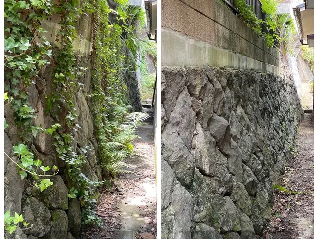 PayPay◎ゴミ回収もお任せ♪ついでに防草シート施工→砂利敷きもご相談下さい！サービスの画像