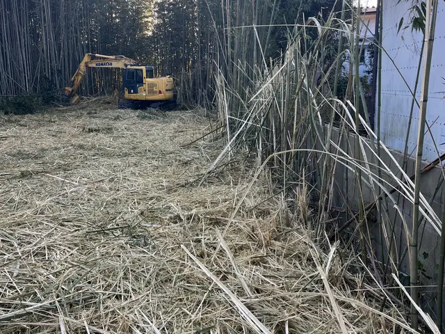 庭木の伐採抜根から山林伐採や開墾までご対応可能です！サービスの画像