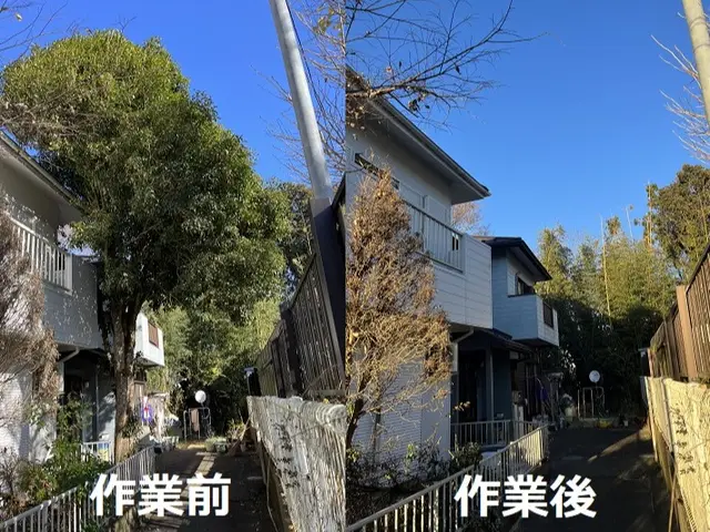 ２４年口コミ賞受賞店！庭木の伐採抜根から山林伐採抜根までご対応可能です！サービスの画像