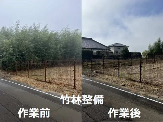 ２４年口コミ賞受賞店！庭木の伐採抜根から山林伐採抜根までご対応可能です！サービスの画像