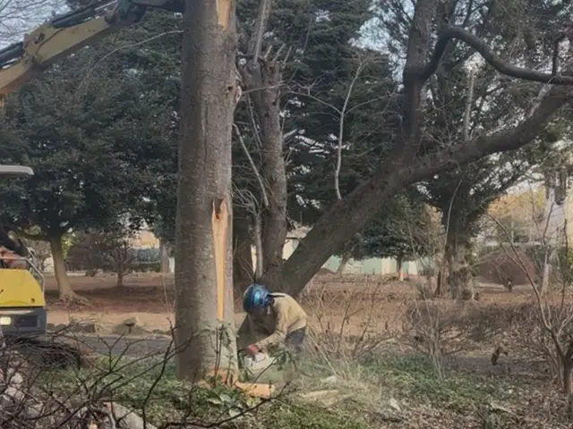 庭木の伐採抜根から山林伐採や開墾までご対応可能です！サービスの画像