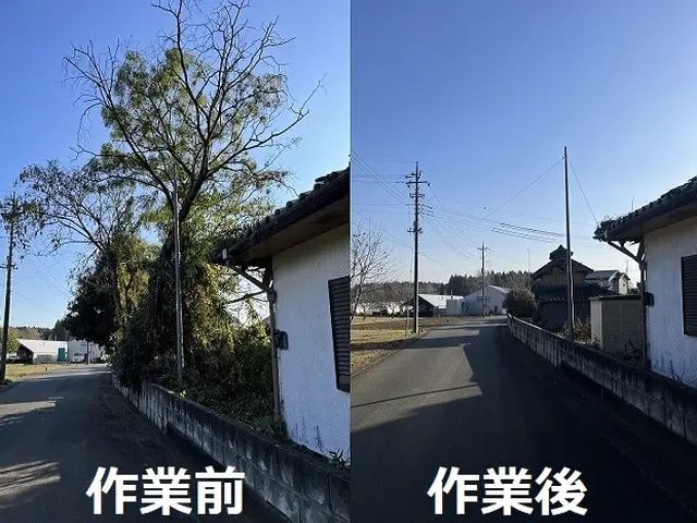 ２４年口コミ賞受賞店！庭木の伐採抜根から山林伐採抜根までご対応可能です！サービスの画像