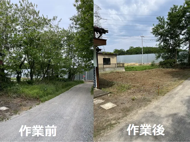 ２４年口コミ賞受賞店！庭木の伐採抜根から山林伐採抜根までご対応可能です！サービスの画像