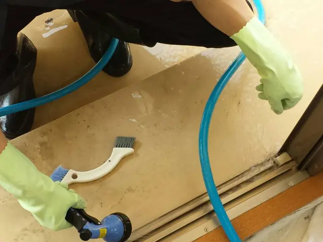 【窓・サッシの掃除】小さなお子様も安心。窓やサッシ網戸が綺麗なら風も気持ちいい！サービスの画像