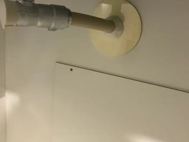 ★出張費無料★ミントの香☆引越し前が効果的★家の回りにも薬剤散布★パック料金有りサービスの画像