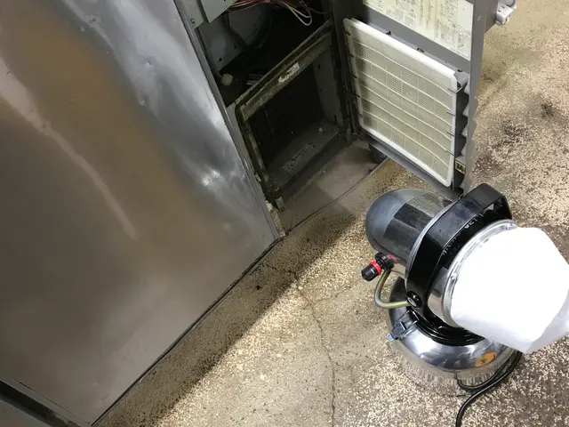 ★出張費無料★ミントの香☆引越し前が効果的★家の回りにも薬剤散布★パック料金有りサービスの画像