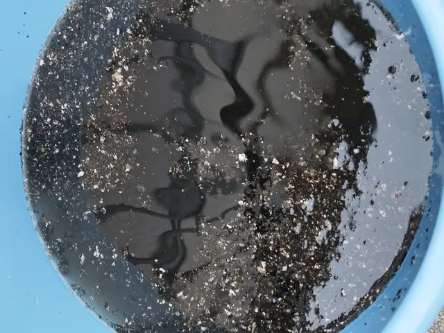 男女ペア訪問！パーキング無料！防カビ・抗菌コート・ドレン洗浄・防虫キャップ無料！サービスの画像