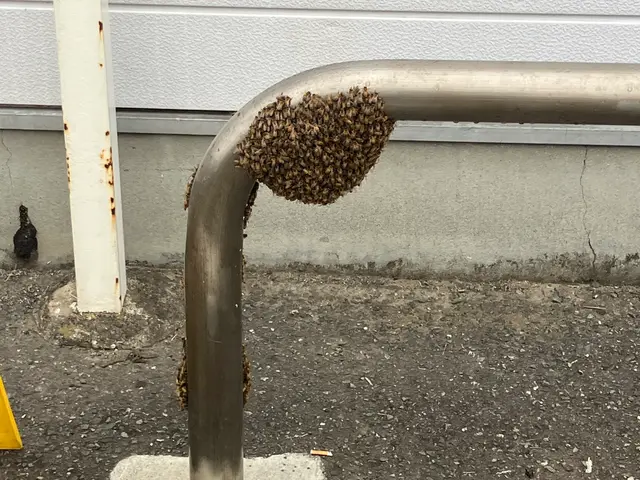 お客様のお力になります！経験と知識を活かして迅速丁寧に作業いたしますサービスの画像