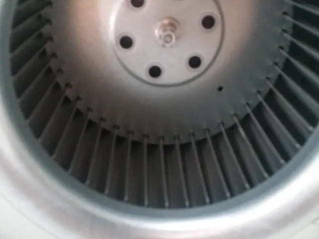 ☆★住まいに、格式ある輝きを──プレミアム在室クリーニング☆★サービスの画像