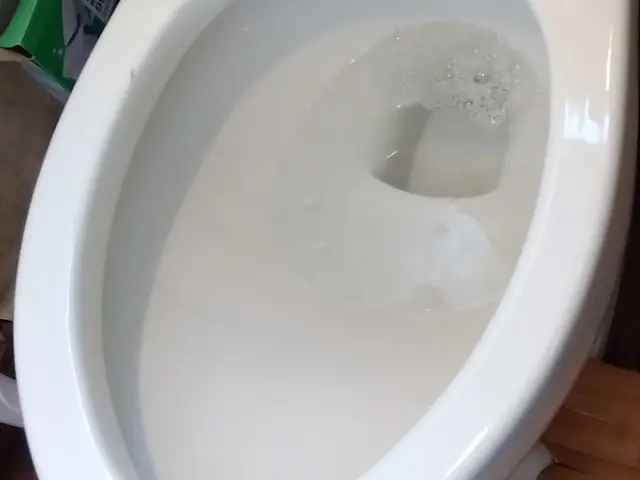 低価格で高クオリティ☆！1児のパパさん店長がお伺い！サービスの画像