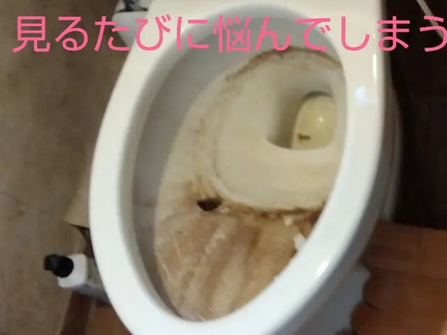 低価格で高クオリティ☆！1児のパパさん店長がお伺い！サービスの画像