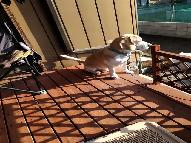 大工仕込みの確かな技術！納得の仕上がり！サービスの画像