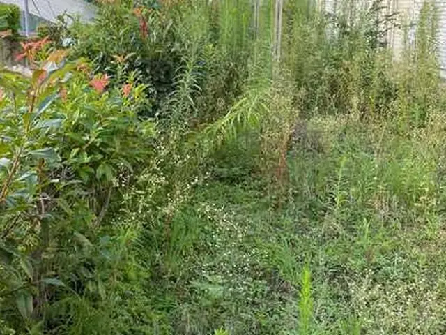 【低価格！地域密着！】ご家庭・企業様の空き地、お庭の草刈り！造園のプロにお任せ！サービスの画像